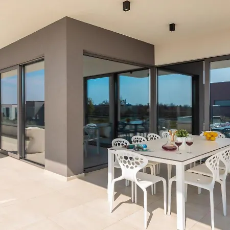 فيلة Old Olive Vii *