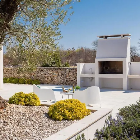 Old Olive Vii * فودنيان